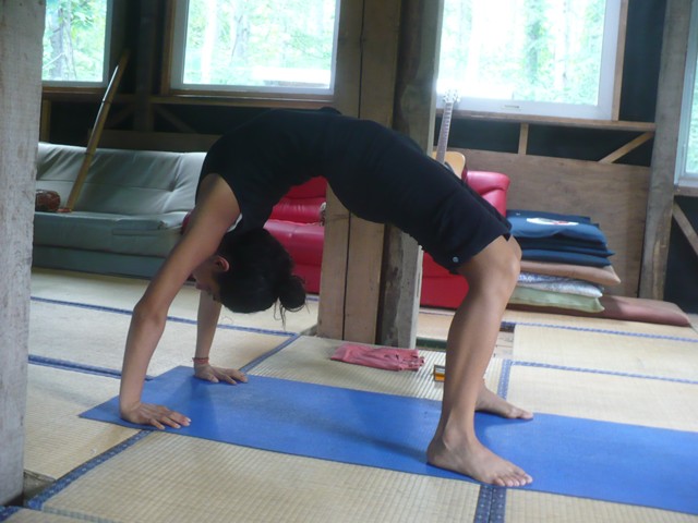 Kw@Zco_Ti@̃|[Y BRIDGE